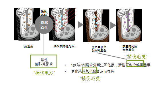 染发剂